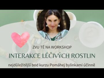 Interakce l&eacute;čiv&yacute;ch rostlin